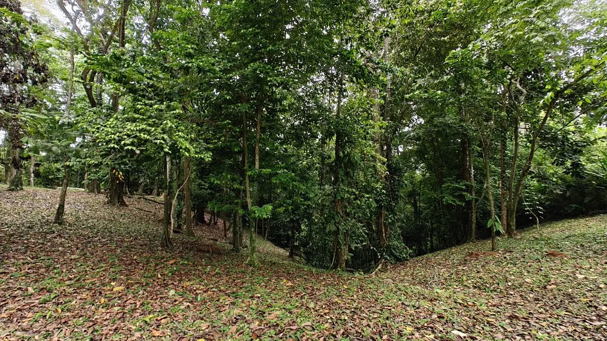 ID 1121: 1,979m² Titled Lot - Last Available Lot in Punta Uva Hills - Near Punta Uva Beach - photo 8
