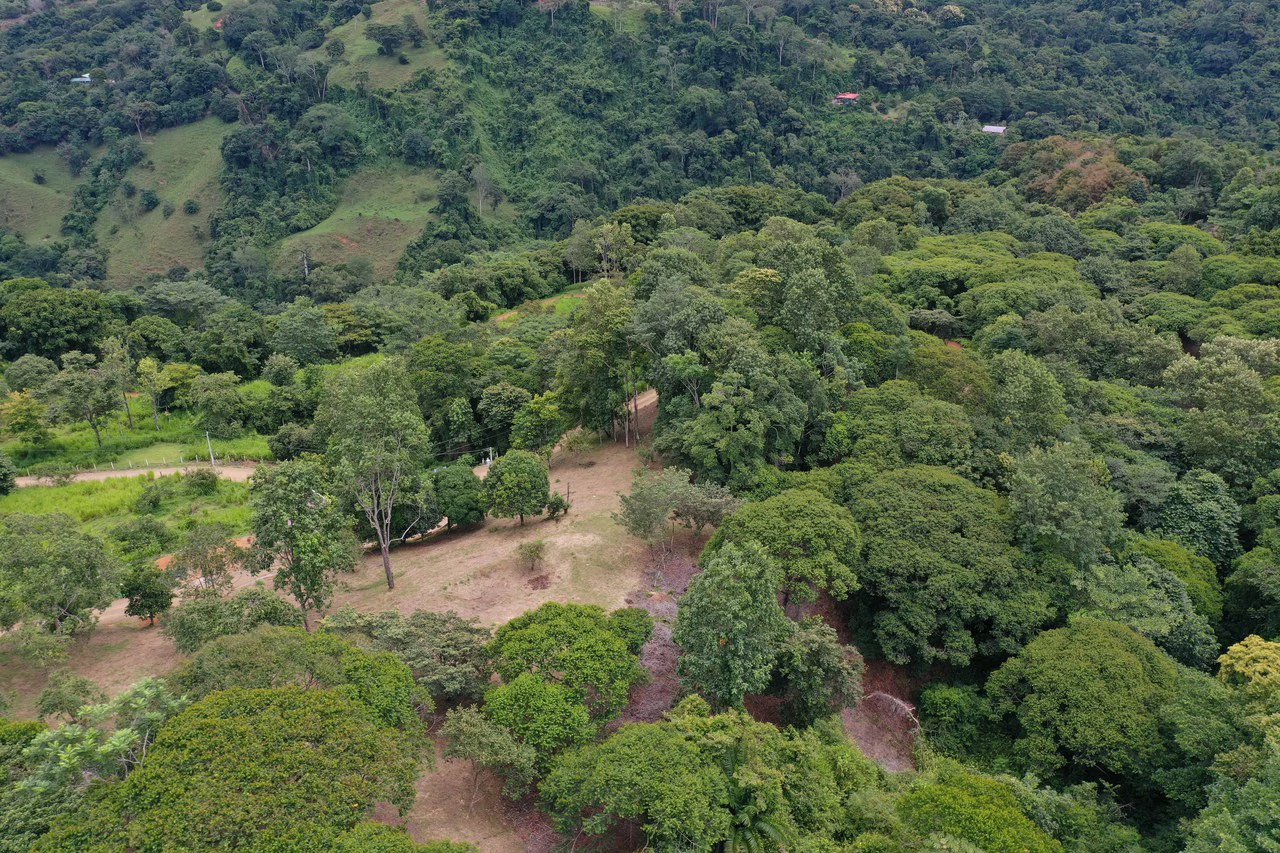 Diamante Waterfall View Land in Dominical 2.9 Acres - Gallery image 35