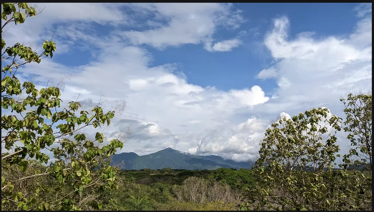 Jungle Retreat with Modern Comforts Near San José – $345,000: Tropical Retreat with Jungle Views - Gallery image 14