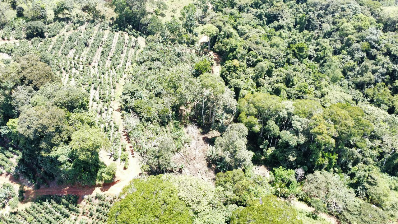 Propiedad en San Rafael de Platanares, Costa Rica: Mountain Home Construction Site For Sale in San Rafael - Gallery image 10