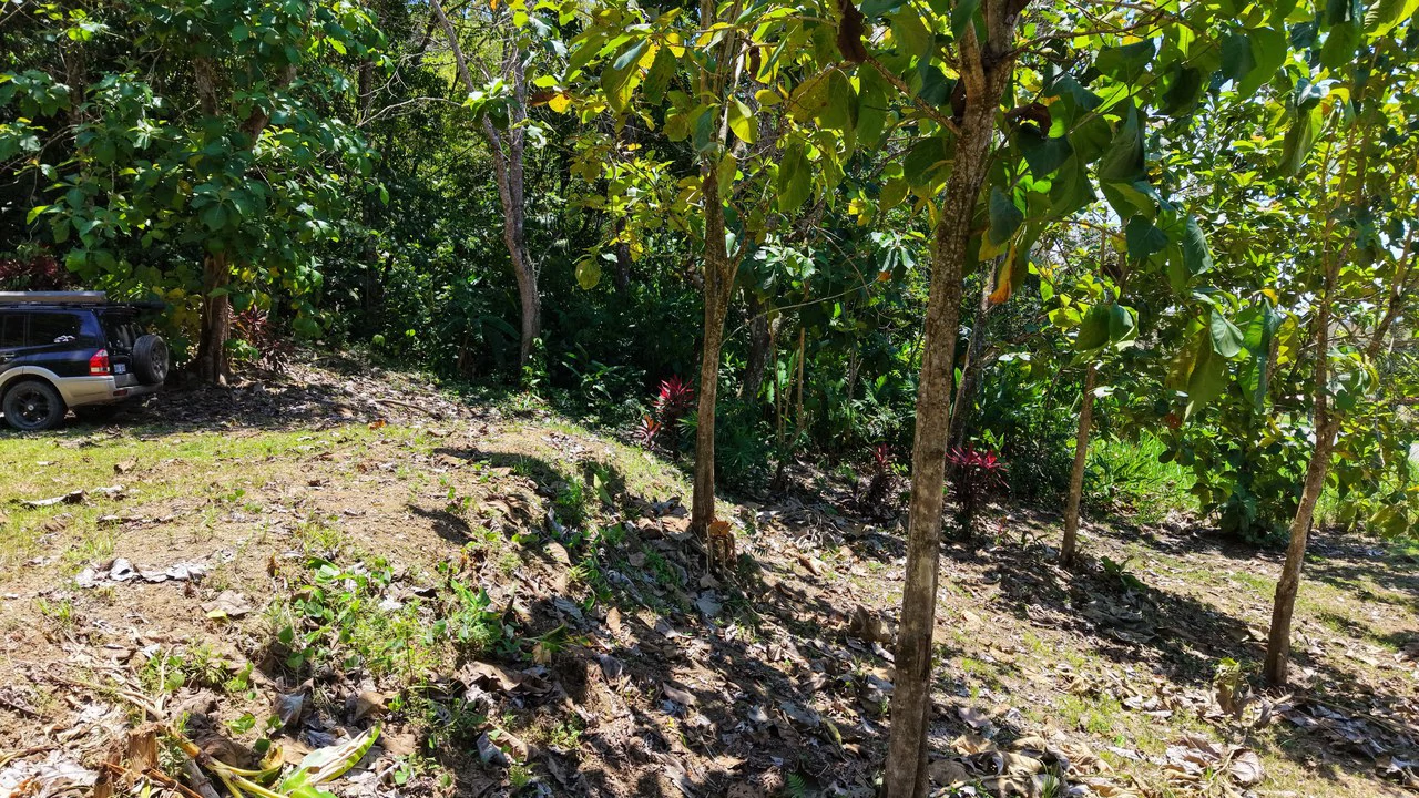 Near the Coast Home Construction Site For Sale in Ciudad Cortés - Gallery image 10