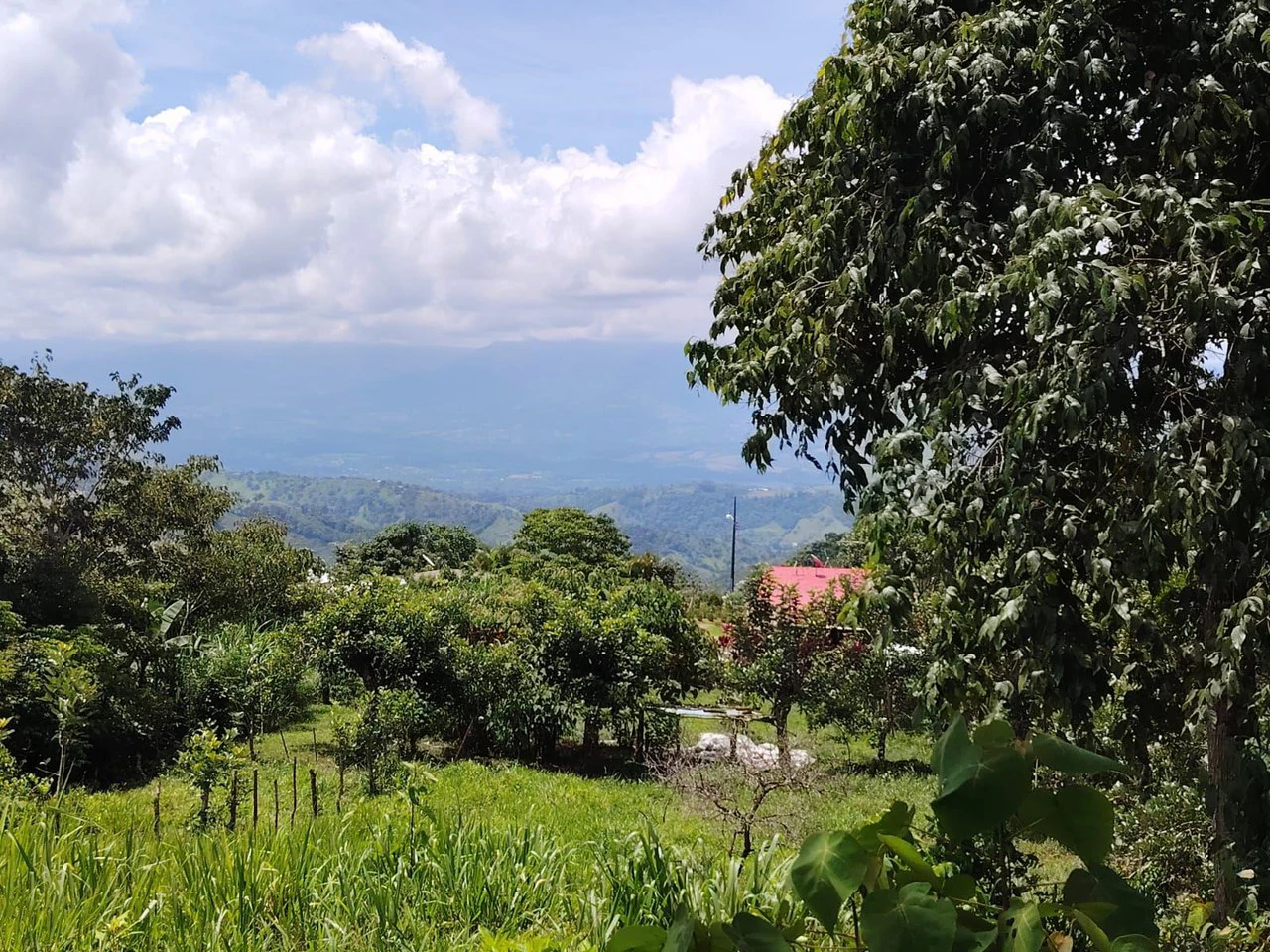 Lote en venta-ubicado en San Juan Bosco, Perez Zeledon: Mountain Home Construction Site For Sale in Daniel Flores - Gallery image 6