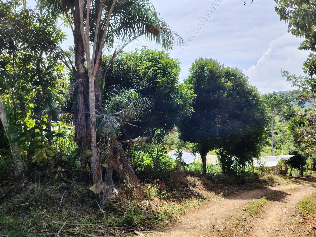 Terreno en San Juan Bosco 1782m2: Mountain and Countryside Home Construction Site For Sale in Daniel Flores - Gallery image 7