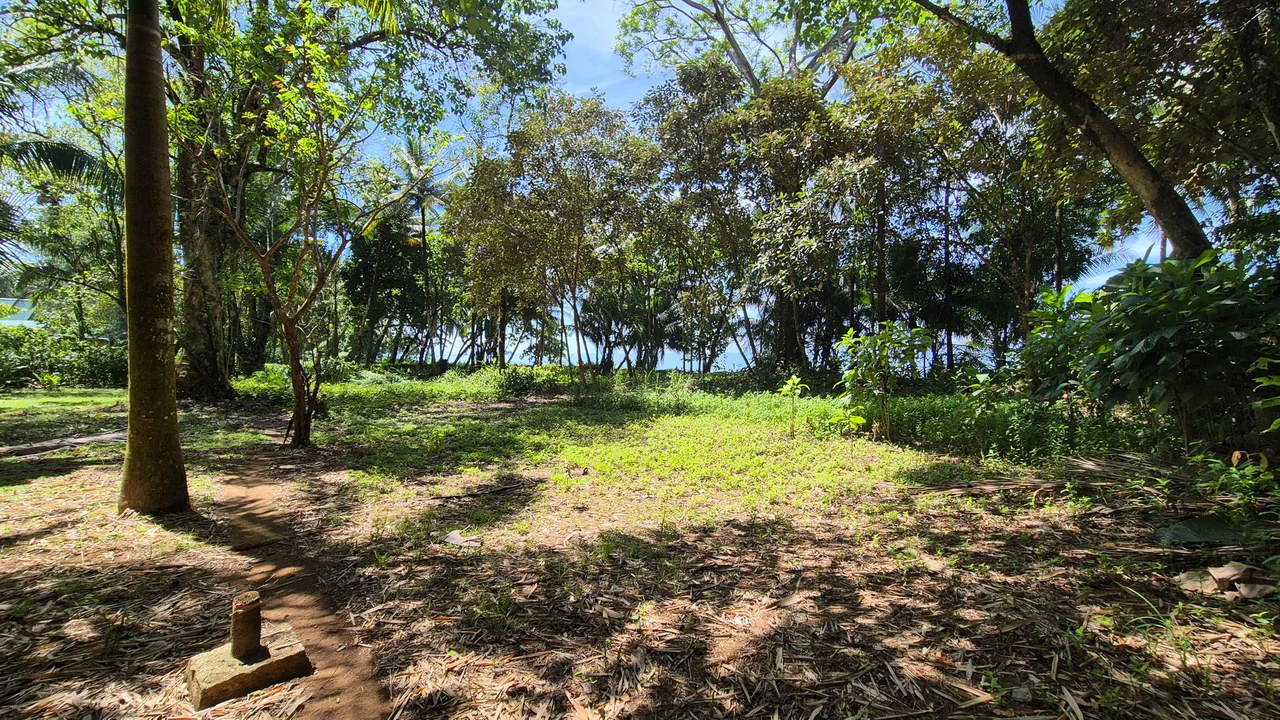 Dream Beachfront Property at Ballena Beach in Uvita, Costa Rica - Gallery image 18