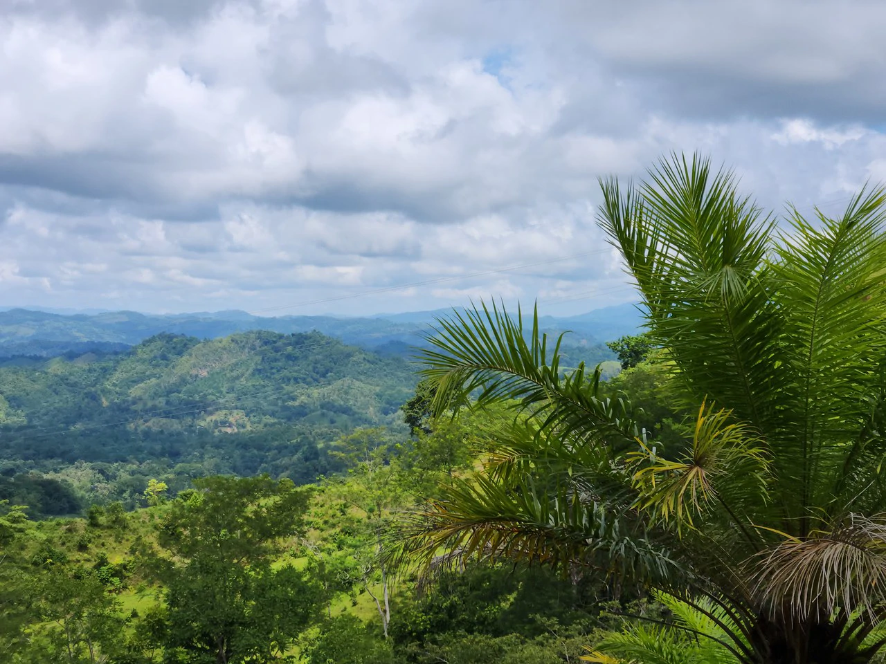 PRIME PARRITA FARM FOR SALE - Gallery image 23