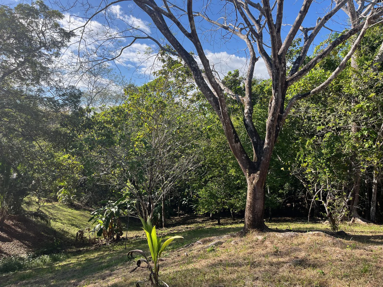 4000m2 Ready to Build Lot in Delicias: Partial Ocean Views in Great Neighorhood - Gallery image 12