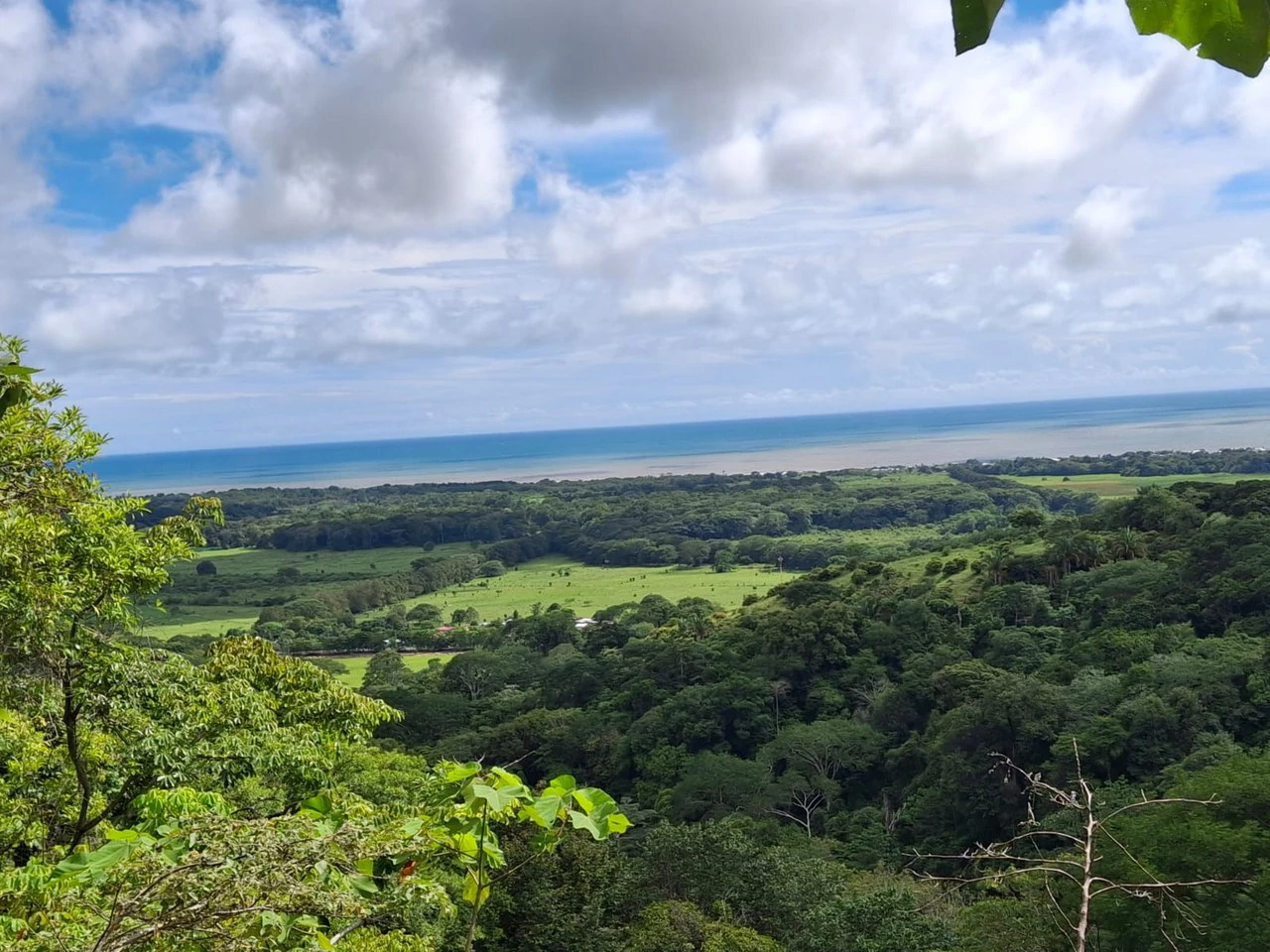 Hilltop Ocean Paradise: 10 ha (103,600m2) for private compound or development - Gallery image 9