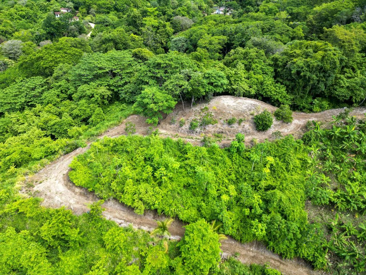 Finca Montana: 125 Acre Finca With Stunning Ocean Views - Gallery image 9