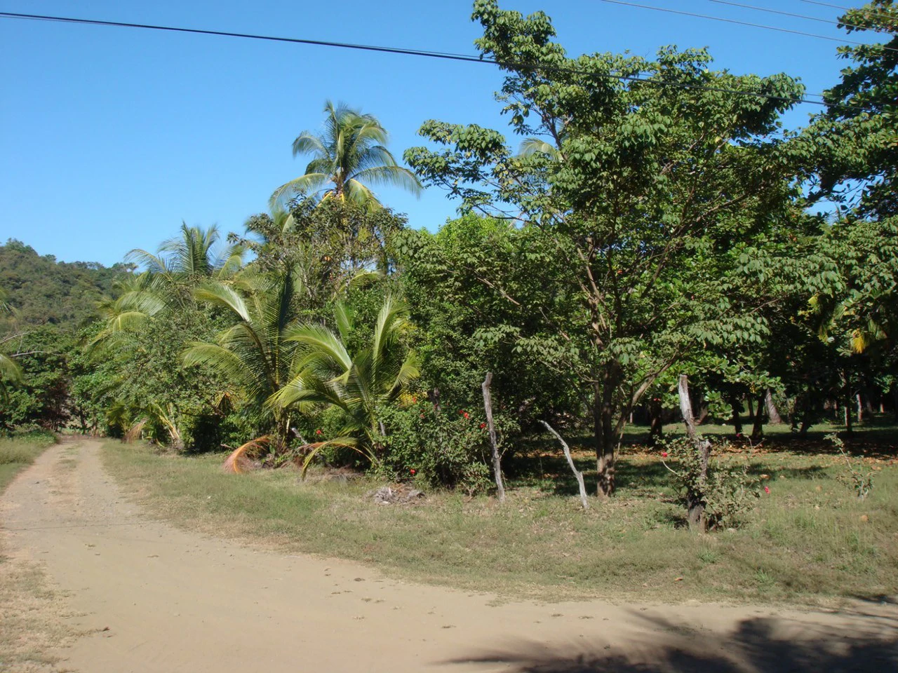 Second-Row Lot for Sale Playa San Miguel, Nandayure, Guanacaste - Gallery image 10