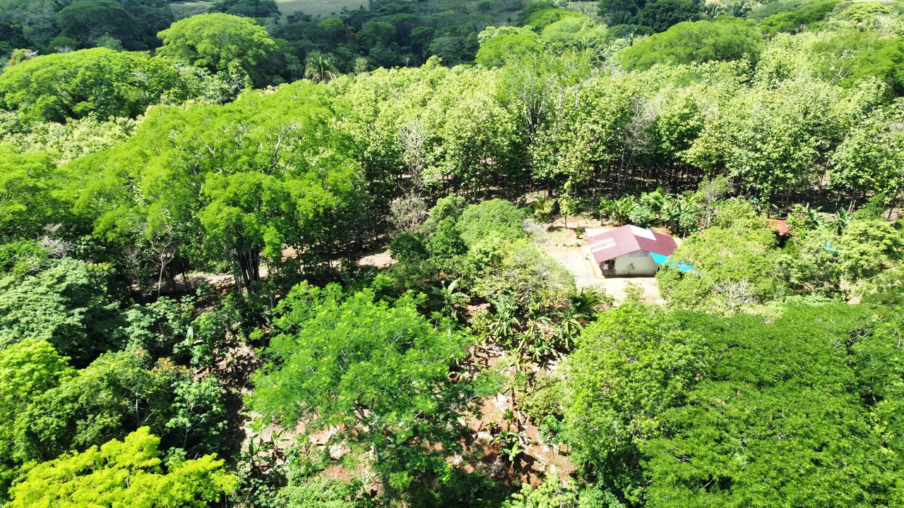 7-Hectare Farm with Teak Plantation, Existing Home & Eco-Development Potential Near Parrita, Costa Rica - Gallery image 6