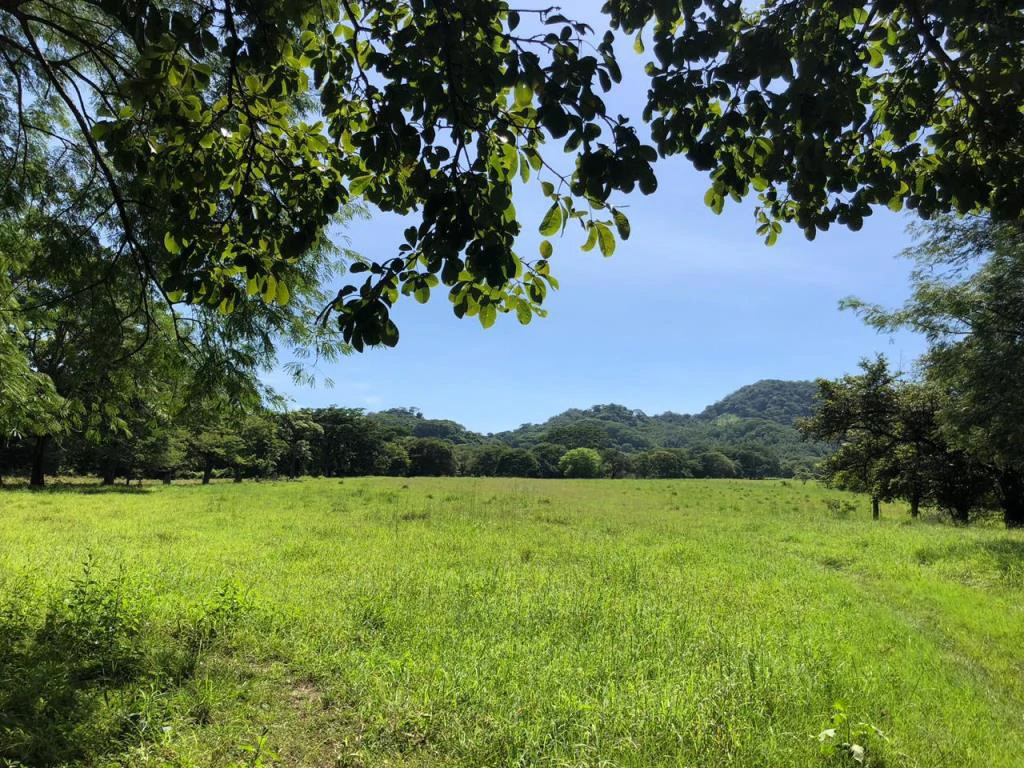 Huge dream Cattle farm for sale with 2 houses close to the Gulf of Nicoya, Guanacaste, Costa Rica - Gallery image 30