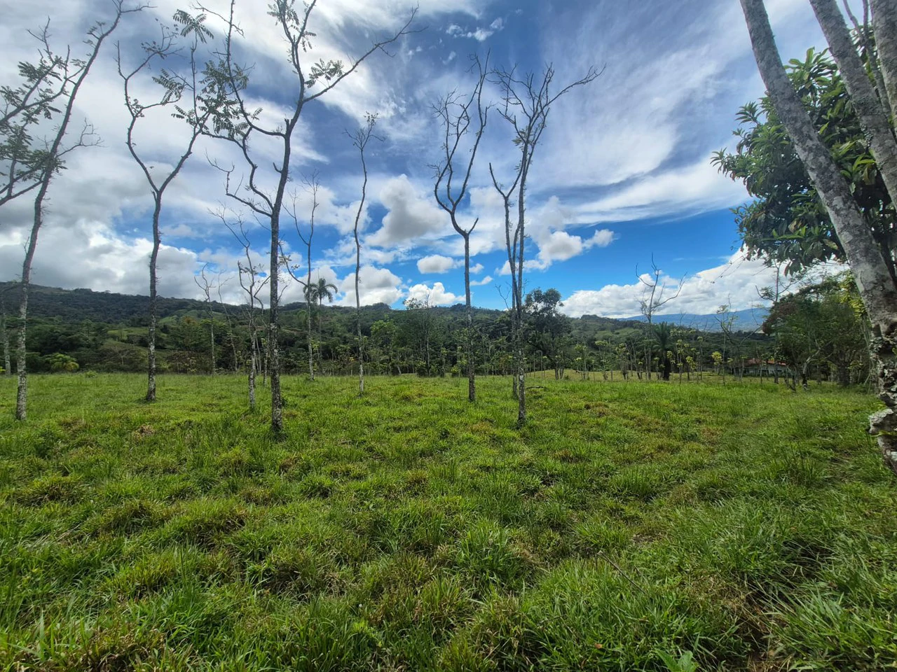 Countryside Agricultural Land For Sale in Centro de Pérez Zeledón - Gallery image 11