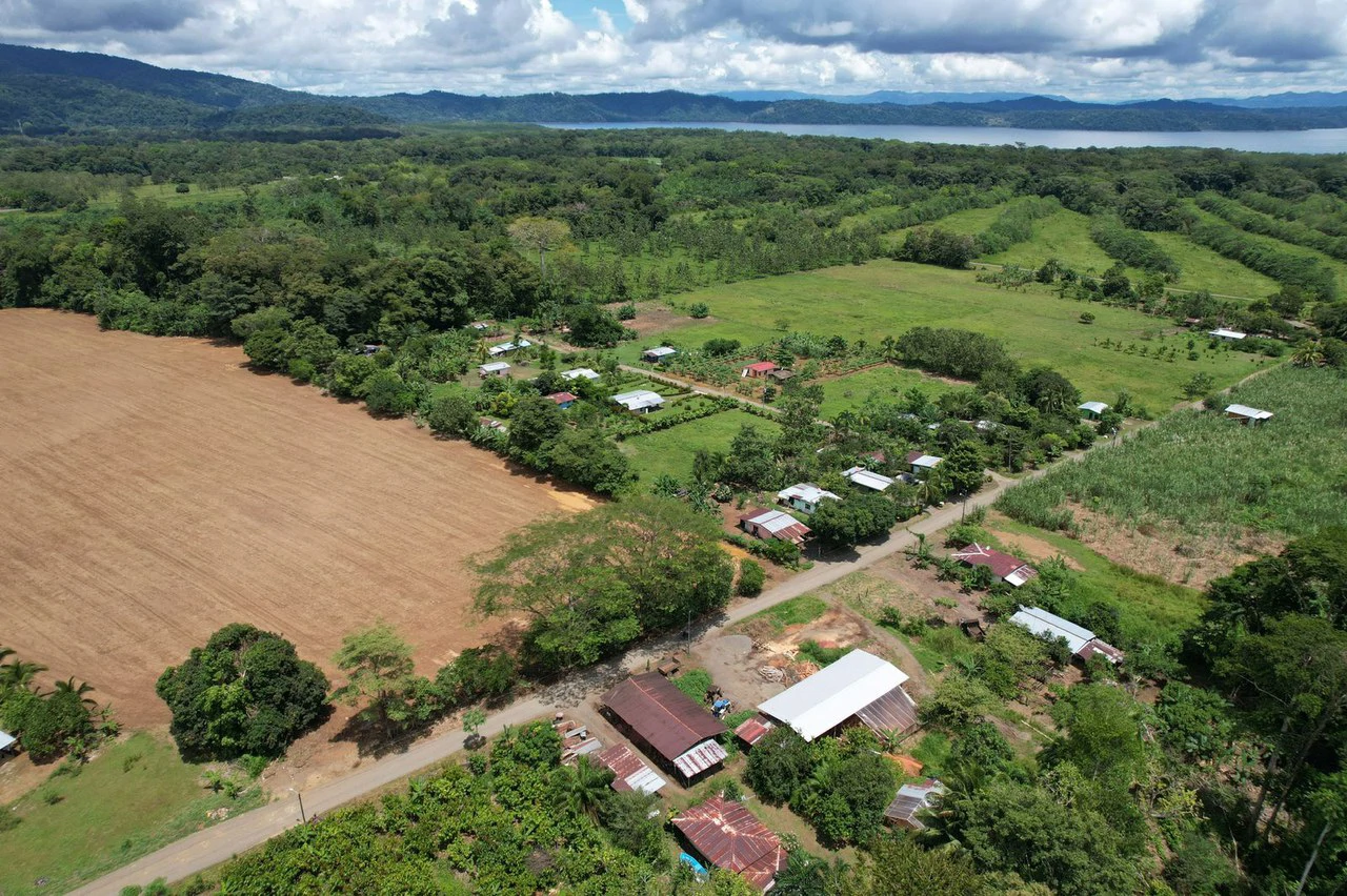 Finca La Palma, Puerto Jimenez: Excellent location ideal for development - Gallery image 12