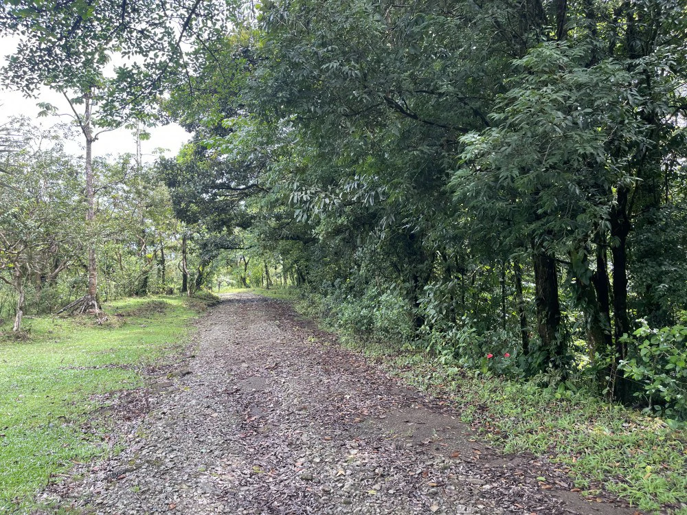Nuevo arenal: Looking for a Property to Develop Family Residences with Lake Views? - Gallery image 43