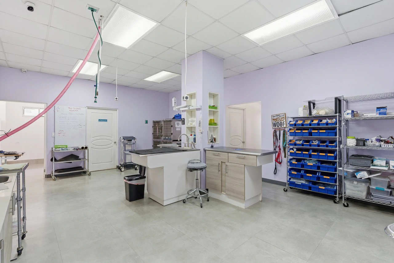 Vet Clinic: Prime Commercial Property & Multi Purpose Medical Clinic - Gallery image 3