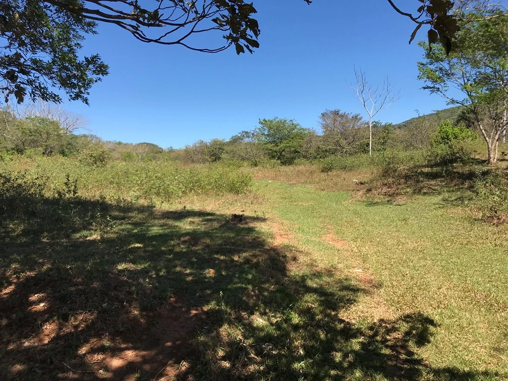 Ocean view farm for sale in the mountains of San Juanillo - Gallery image 8