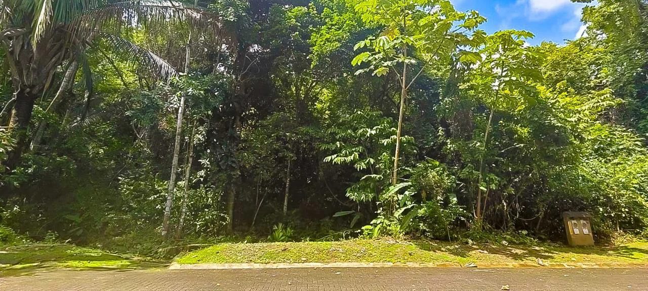 LAND FOR SALE IN COSTA ESTERILLOS ESTATES - Gallery image 2
