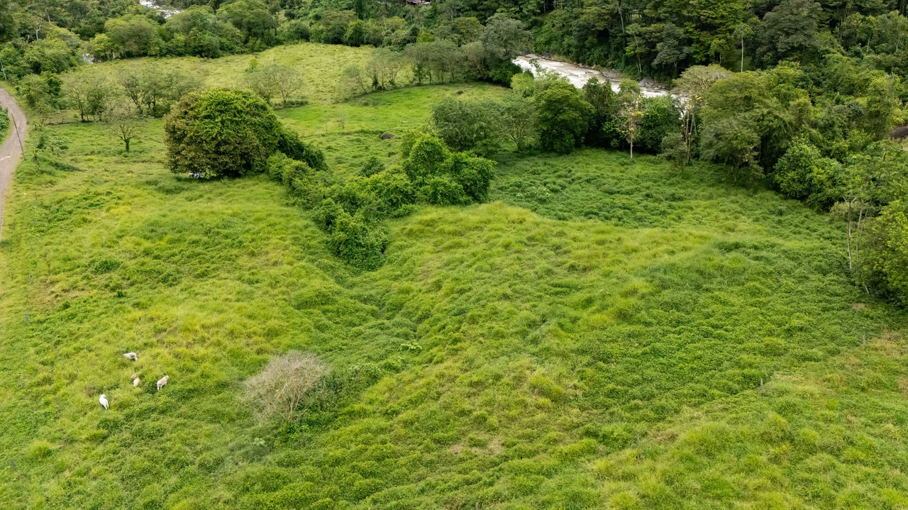 Mountain Home Construction Site For Sale in Río Nuevo - Gallery image 13