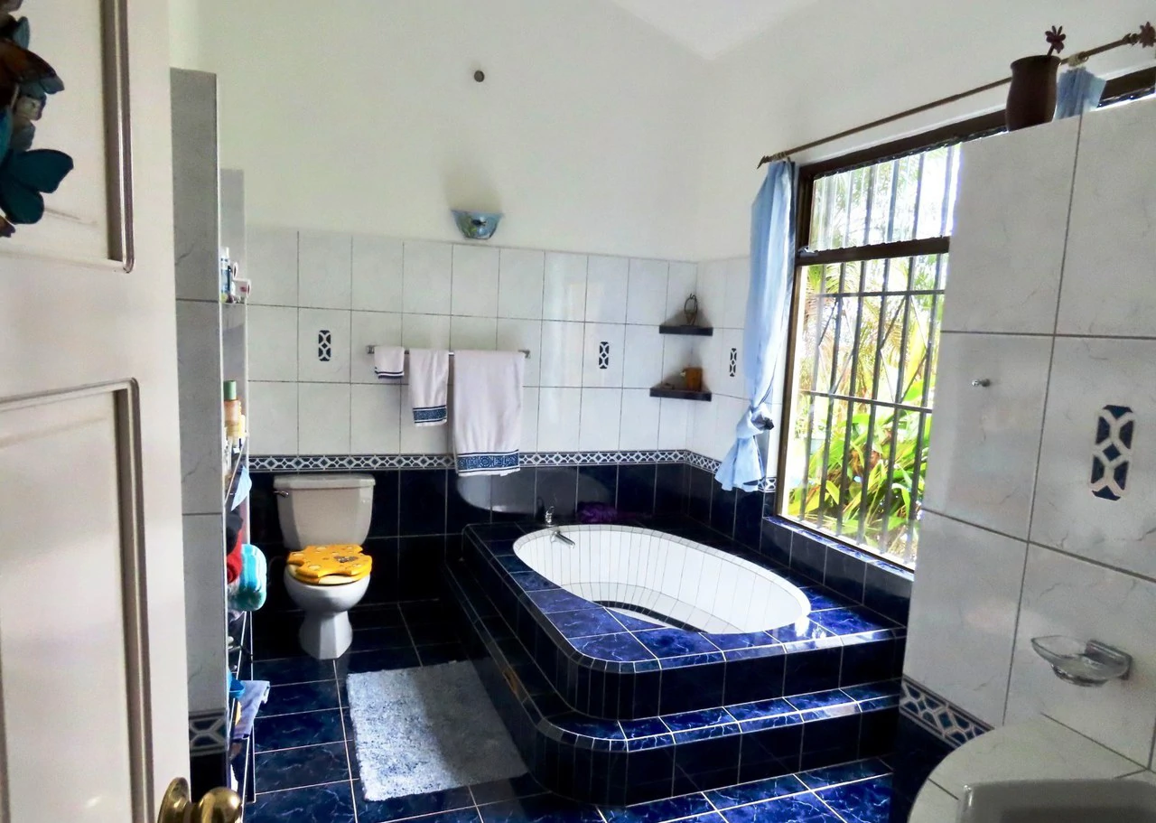 CASA  TROPICANA - Lake View Oasis Near Nuevo Arenal - Gallery image 34