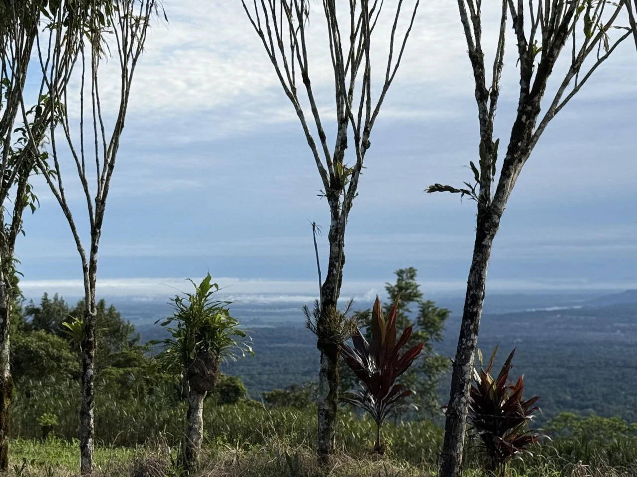 Spectacular views 13.81 acres lot - Great Location for dream home or cabins - photo 3