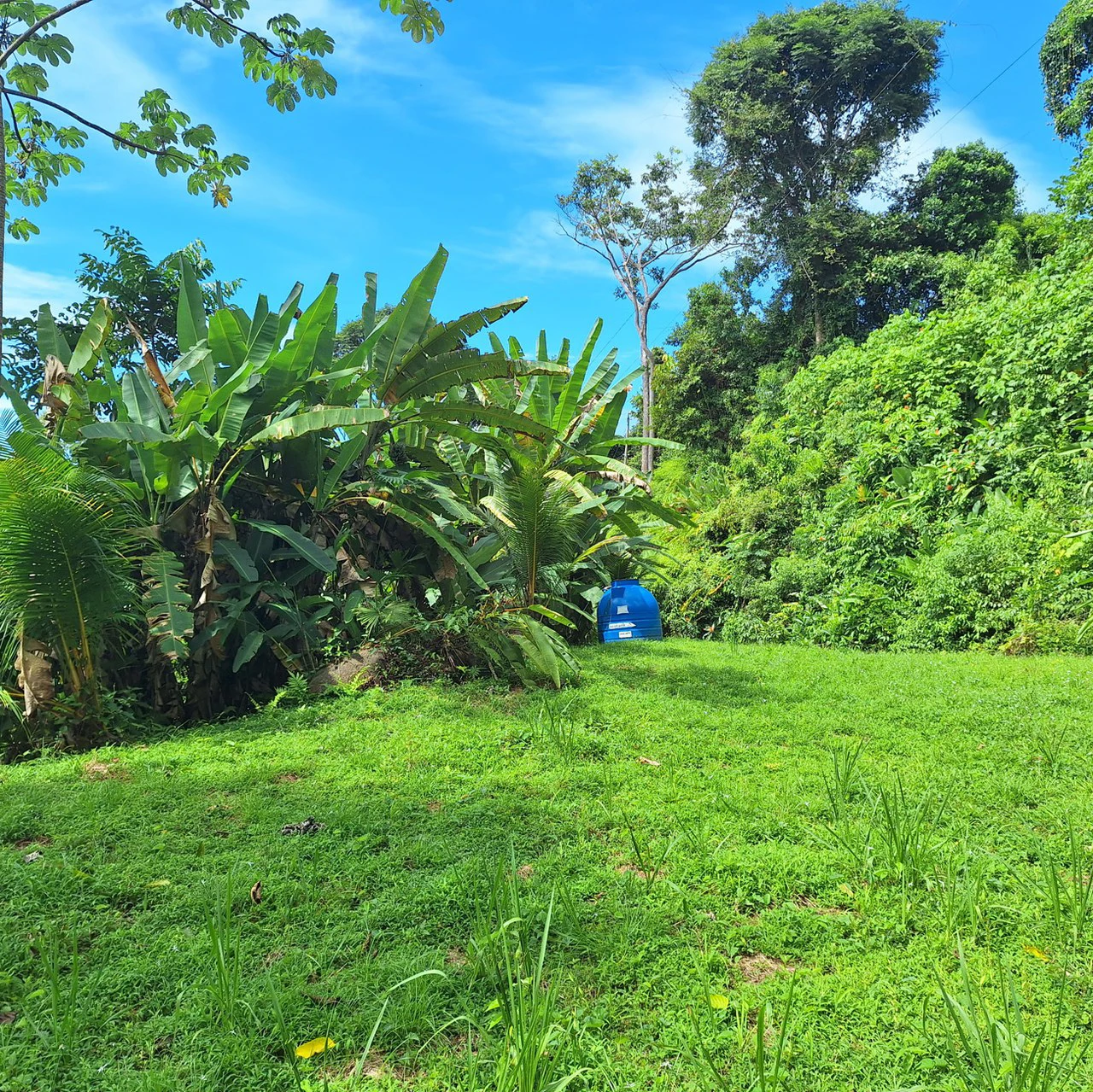 Exceptional Ocean & Mountain View Property in Pinuela Arriba, Costa Rica - Gallery image 17