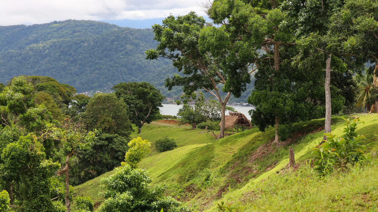 Unique Development Property Overlooking the Pristine Golfito Bay and Golfo Dulce - Gallery image 2