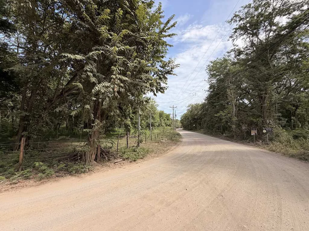 Build-Ready Lot: Palm Beach Estates - photo 5
