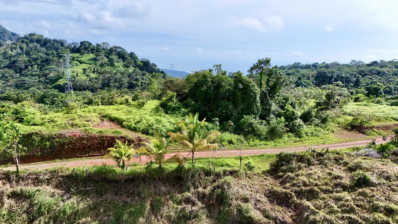 Off-Grid Ocean View Lot | 1.7 Acres in Las Nubes Matapalo Hills - Gallery image 10