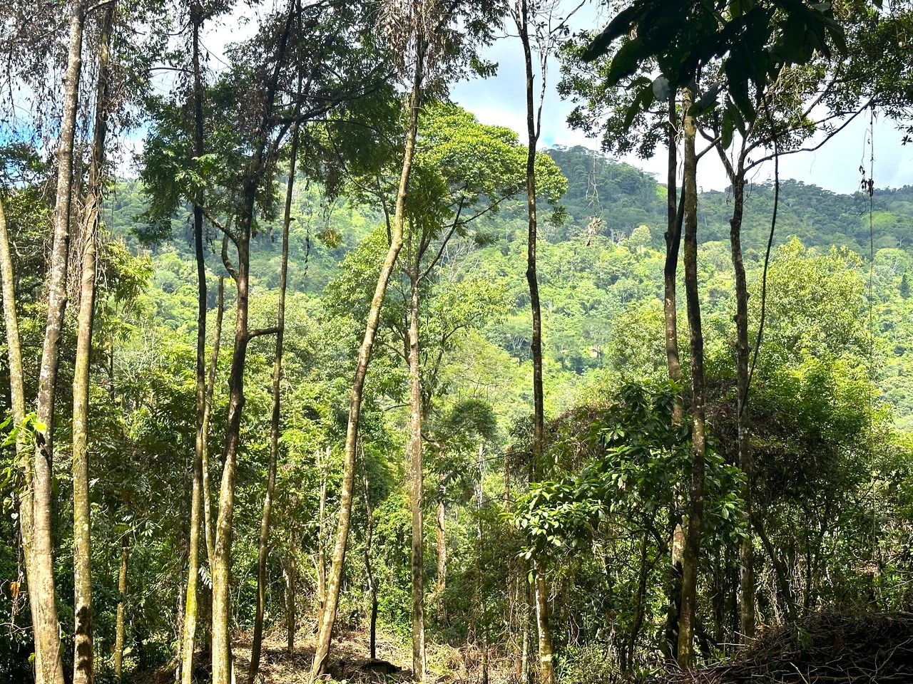 Mountain View Building Lot in Prestigious Gated Community With Private Waterfall & Two Building Sites: Mountain Home Construction Site For Sale in Portalon - Gallery image 19