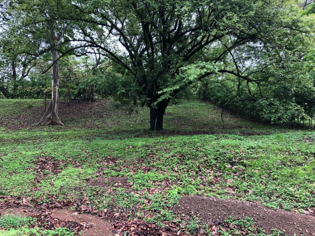 Lot in exclusive Residential, close to Beach Tamarindo - Gallery image 31