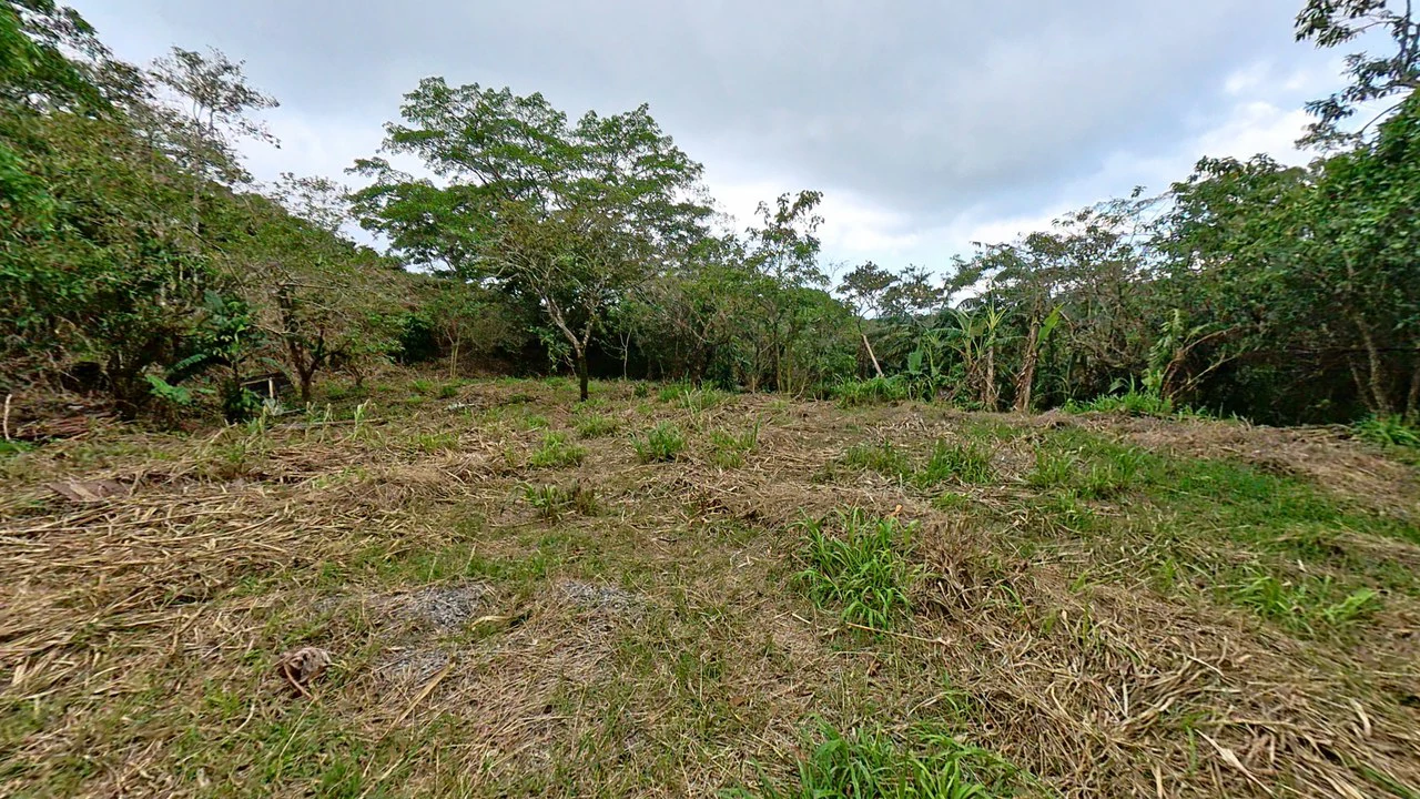 Eco-Lot #3: Ready-to-Build Sustainable Haven with Gulf & Mountain Views - photo 3