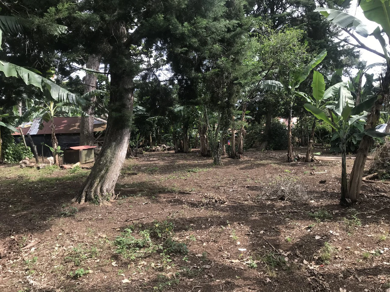 LOTES SAN ISIDRO HEREDIA: BEAUTIFUL LOTS IN SAN ISIDRO  HEREDIA - Gallery image 3