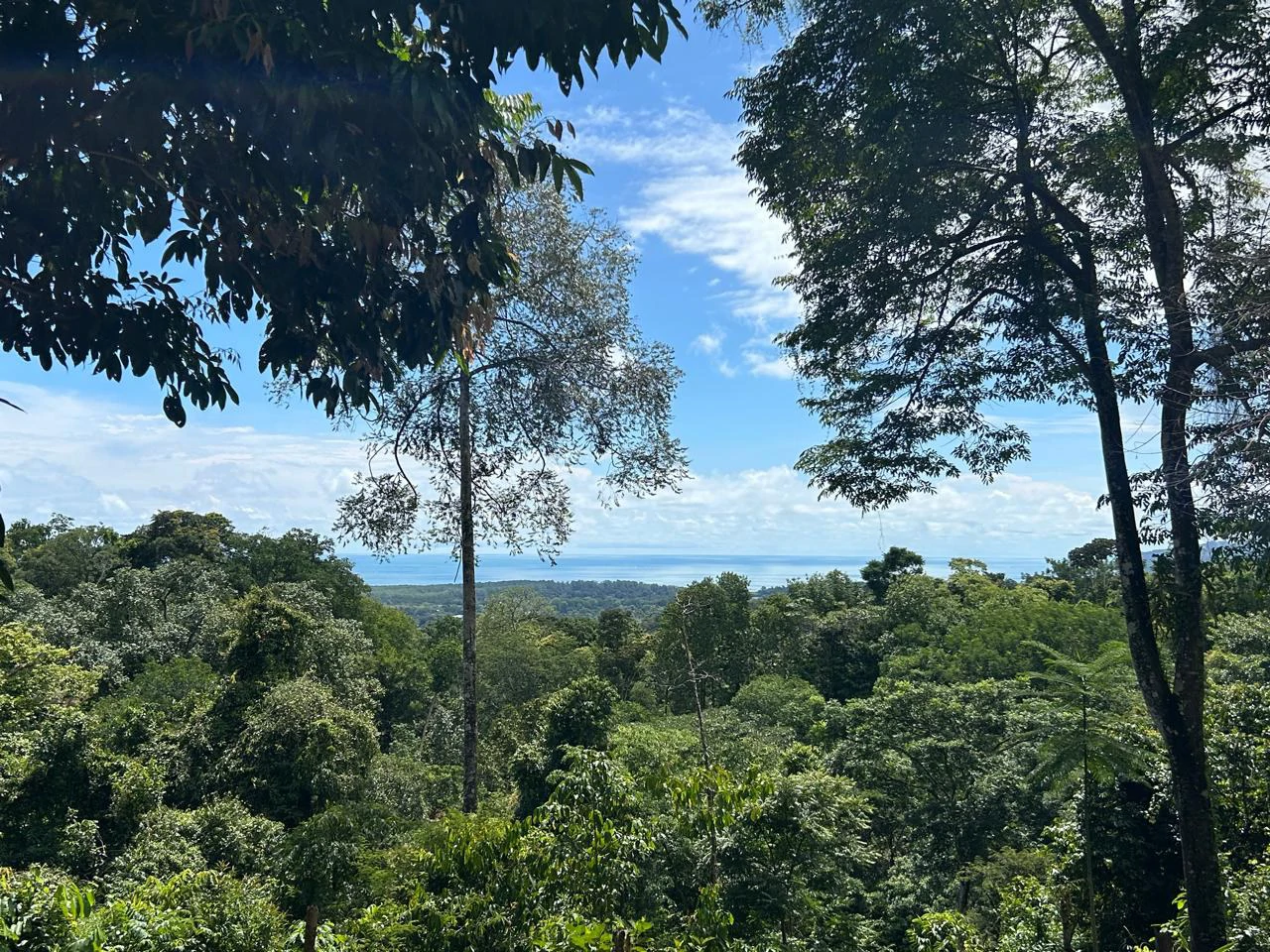 Marvelous Ocean View Parcel in Uvita. - Gallery image 29