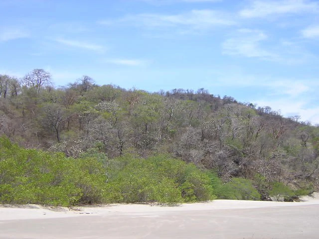 Playa Rajada, 10 HA, white sand beach: on the Pacific Ocean is located on the furthest  Northern Peninsula - Gallery image 4