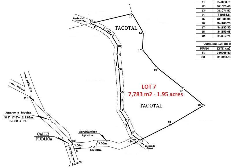 Lotes Bosque Alta: 2 Large Flat Healthy Jungle Lots Totaling 17289 square meters in Estrada, located just 10 minutes after the Town and Beach of Carrillo. - Gallery image 5