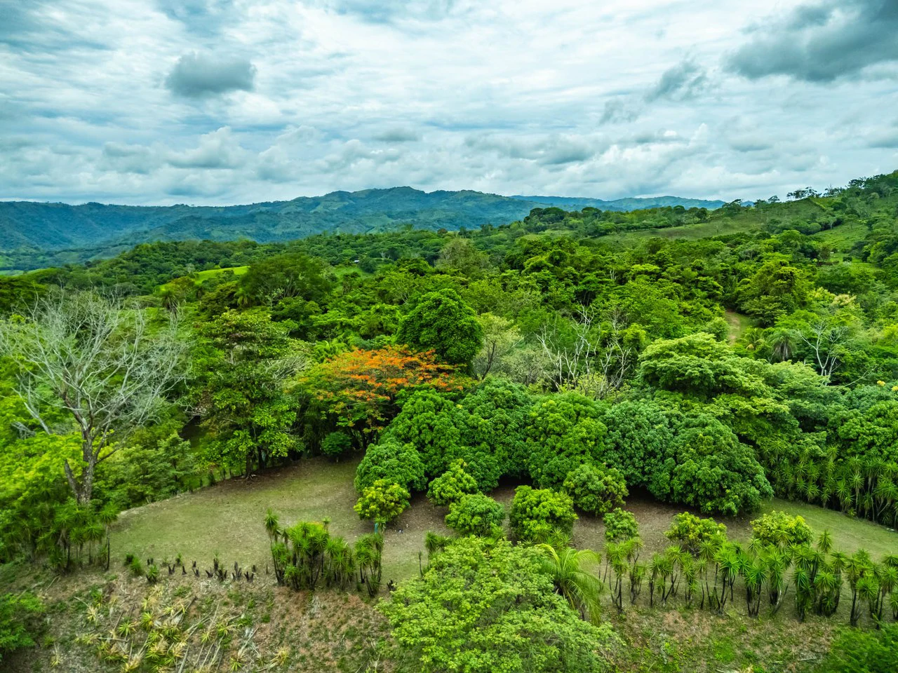 The Refuge: Ecological Lots in Hojancha Blue Zone - photo 13