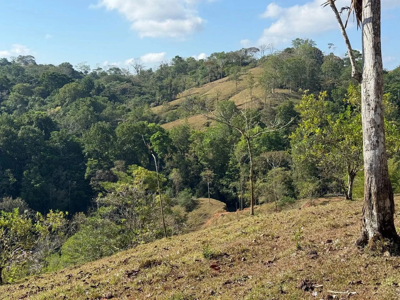 11.4 Hectare Mountain Estate: Lush Forest, River & Farm Potential in Arenal Puriscal , San Jose - Gallery image 10