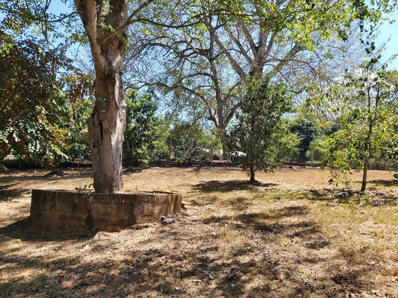 Countryside and Mountain Home Construction Site For Sale in San Juan de Mata - Gallery image 28