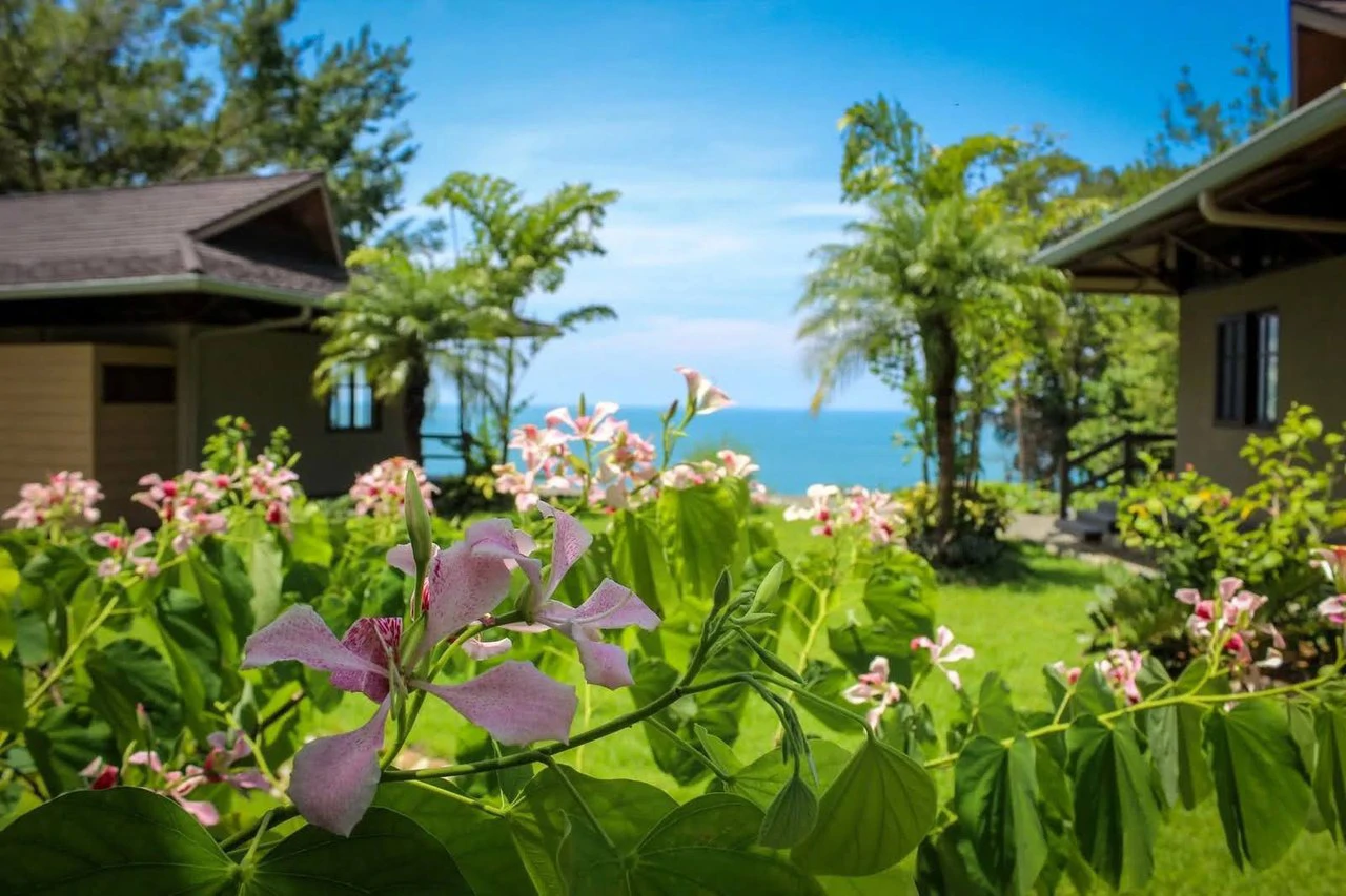 Villas Azul: Direct Beach Front Access in Uvita, 3 Villas, 2 Casitas, Development Land Piñuelas Beach, Uvita, Puntarenas, Costa Rica - Gallery image 12