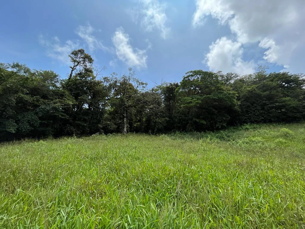 Fantastic property near Biological Reserve - Gallery image 21