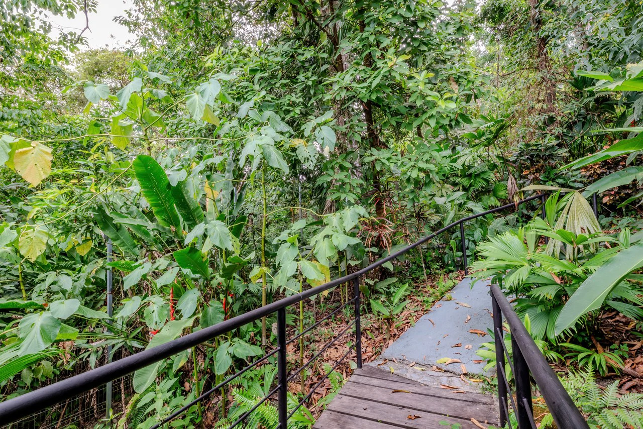 Villas In Sueño – A Rare Gem in the Heart of Manuel Antonio: Mountain Multi Unit Building For Sale in Manuel Antonio - Gallery image 40