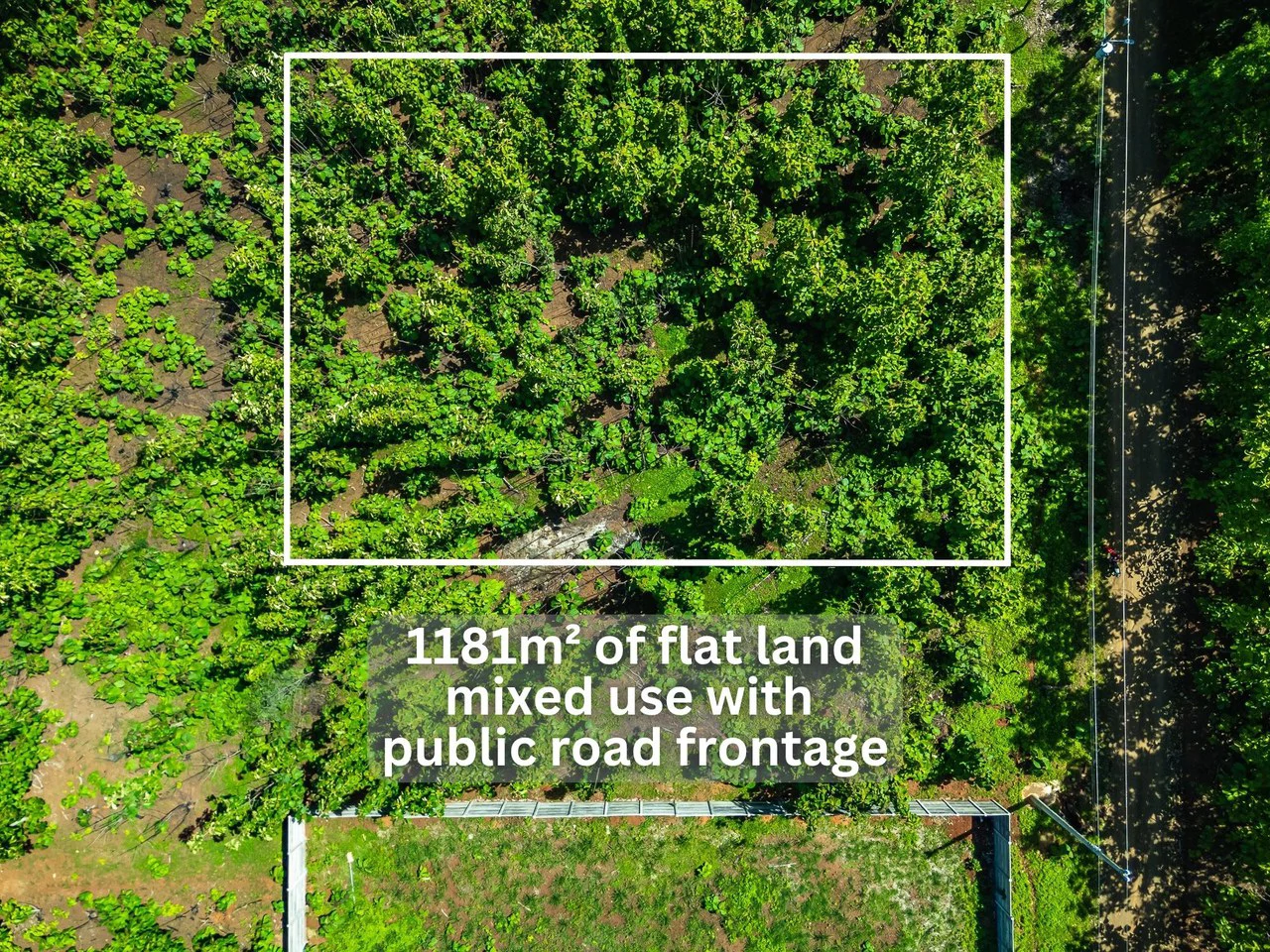 San Jose de Pinilla Lot: Affordable Mixed Use Lot Between Tamarindo & Avellanas - Gallery image 2