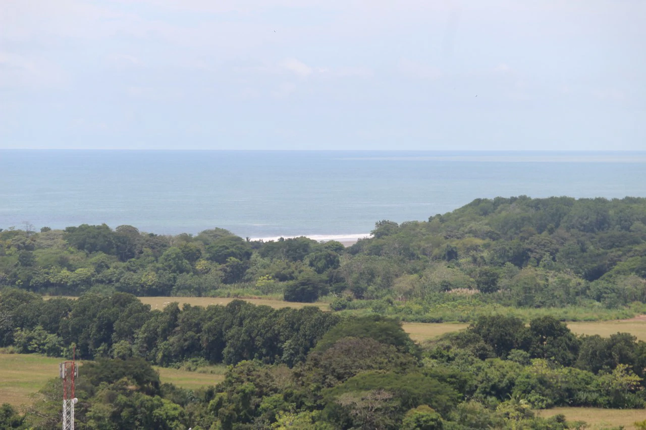 Whitewater Sunset Ocean View Lot Close to Dominical Beach - Gallery image 4