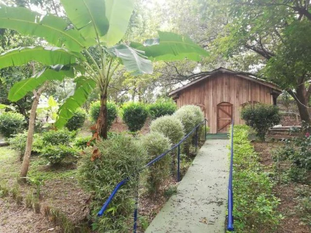 Hotspring Resort for sale in Salitral, Cold and Warm spring swimming pools surrounded by teak and eucalyptus rustic cabins - Gallery image 6