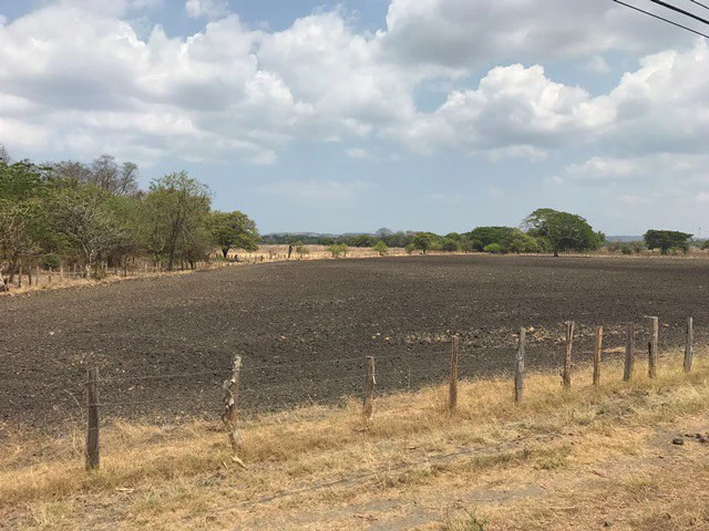 Great opportunity: Big property in Palmira de Carrillo - Gallery image 3