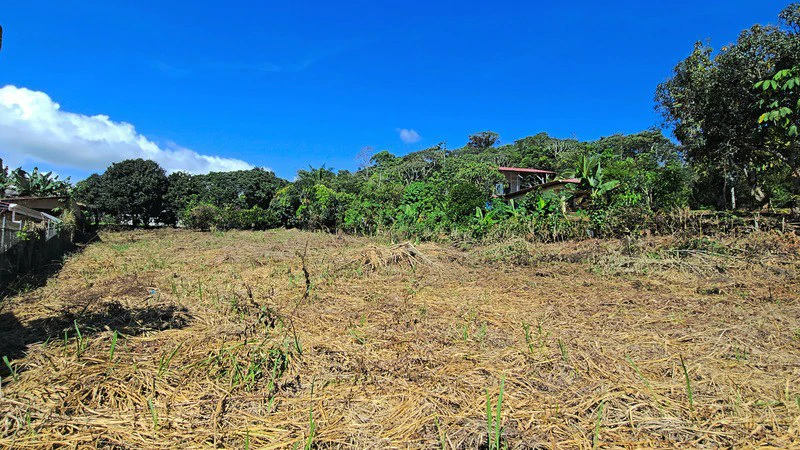 Home Construction Site For Sale in Barrio El Hoyon - Gallery image 2