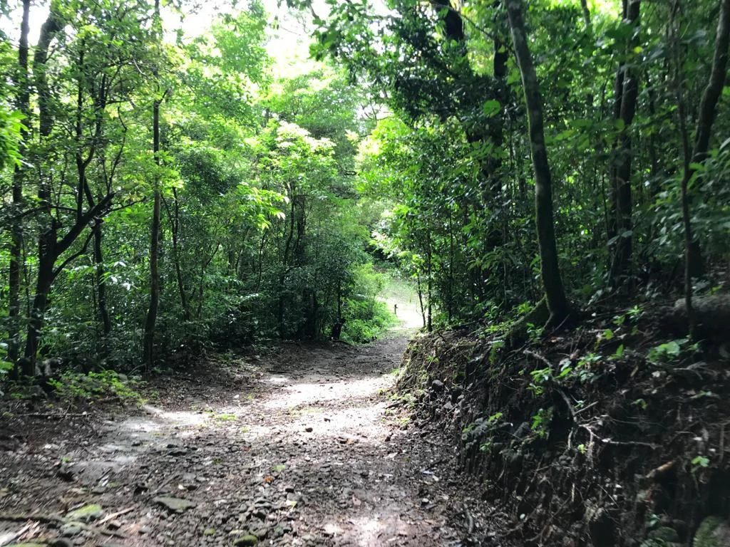 A Lifestyle Canvas with Gulf Views: 5 Hectares Near Monteverde CE0224: Build Your Dream Lifestyle: 5 Hectares with a million dollar Ocean Views & Sunset Magic Near Monteverde - Gallery image 4