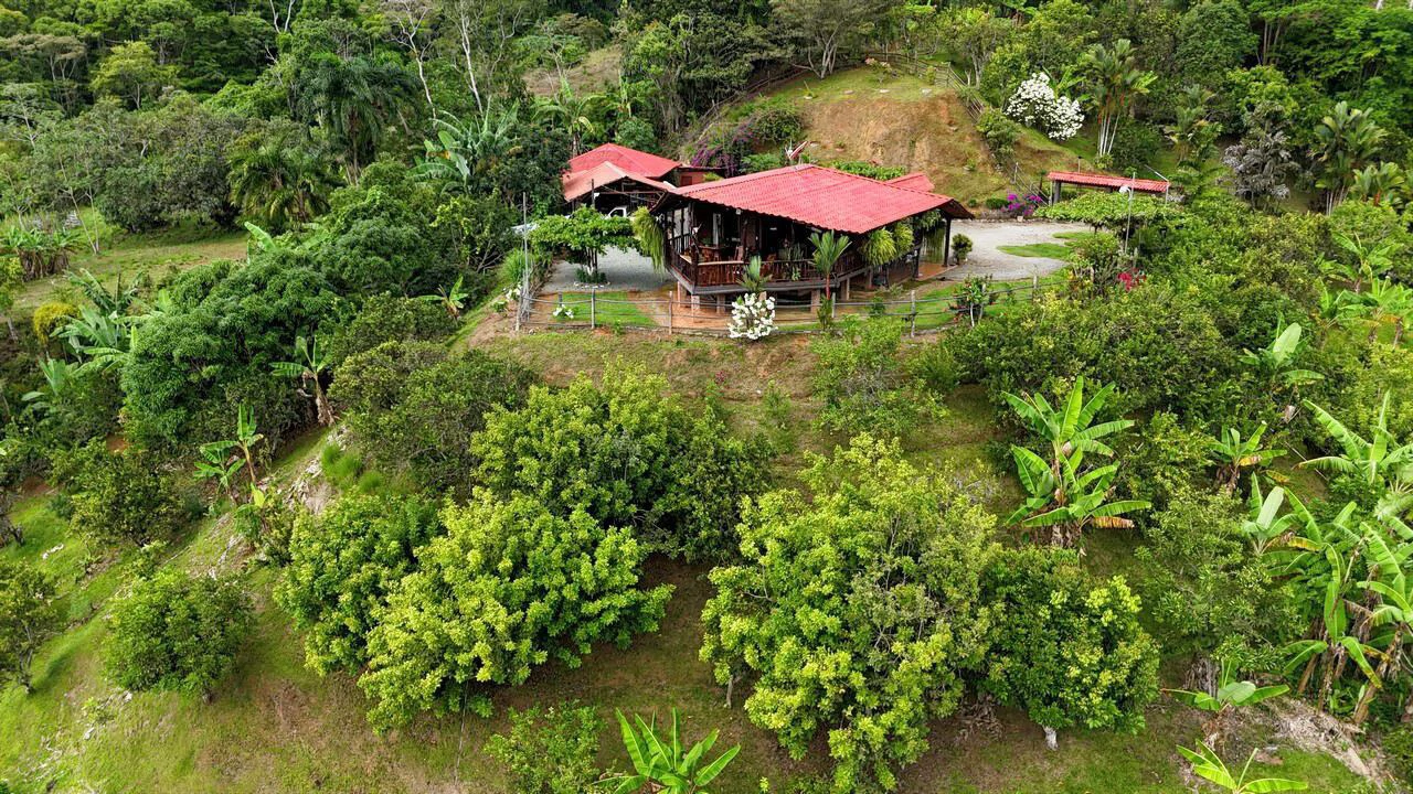 Charming Hardwood Cabin with Fruit Garden Near San Isidro