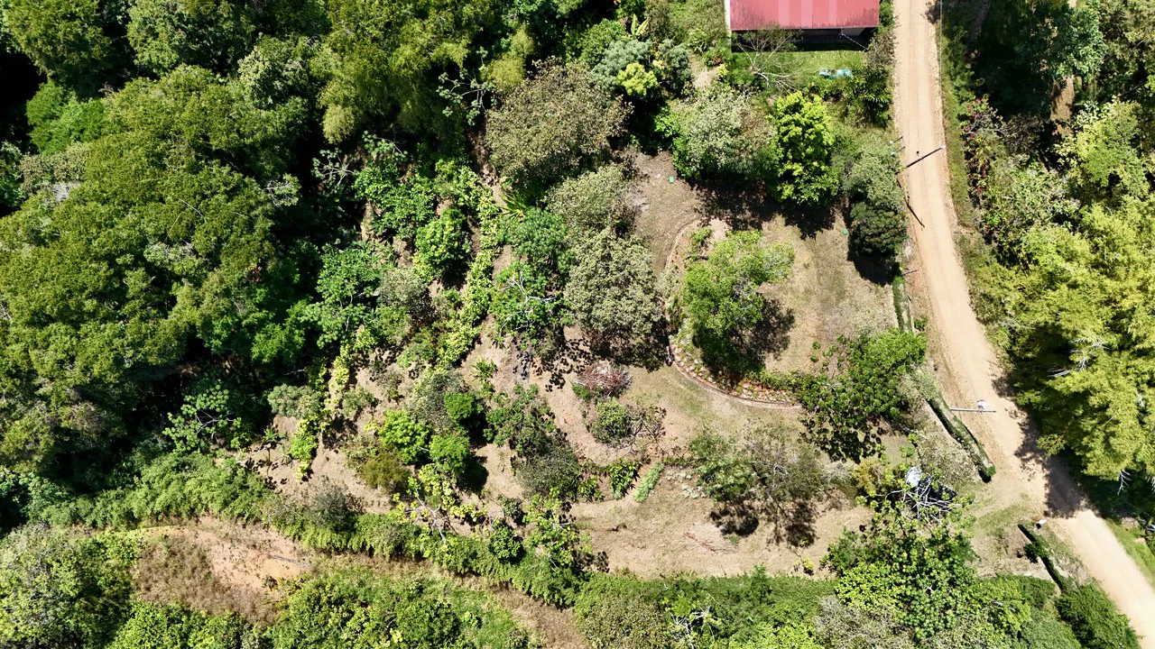 New 1,4 Acre lot in Platanillo – With Legal Water - Gallery image 10