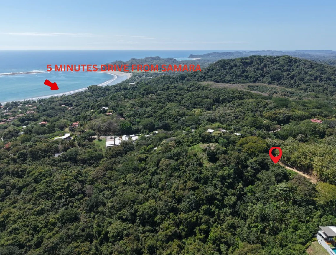 Lote Los Tecales: Spectacular Ocean & Jungle View Hillside Homesite with Approved Building Permit and House Renderings - Gallery image 4